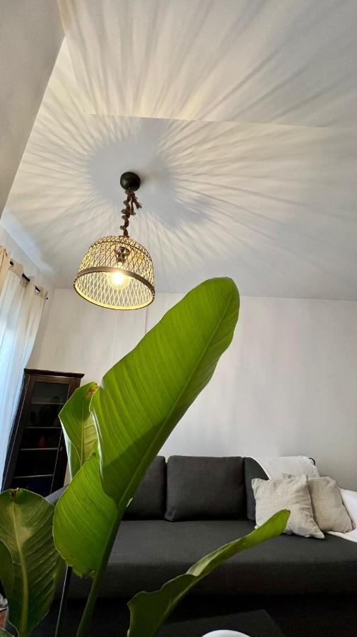 Piso Tarifa Centro, Cerca De La Playa Apartment ภายนอก รูปภาพ